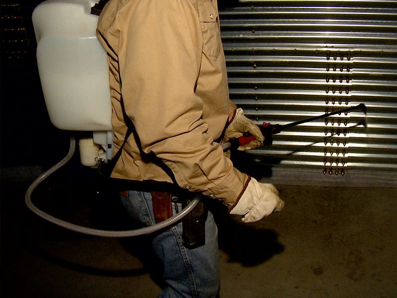 Man carrying a sprayer to prevent bugs before harvest
