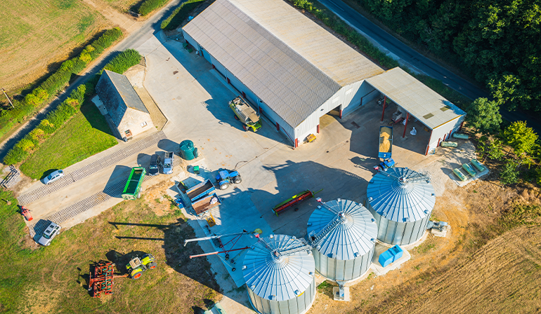stored-grain-protectants