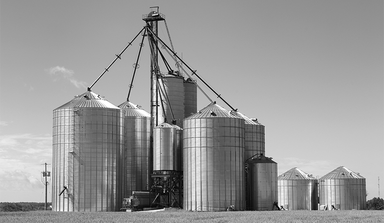 igr-stored-corn