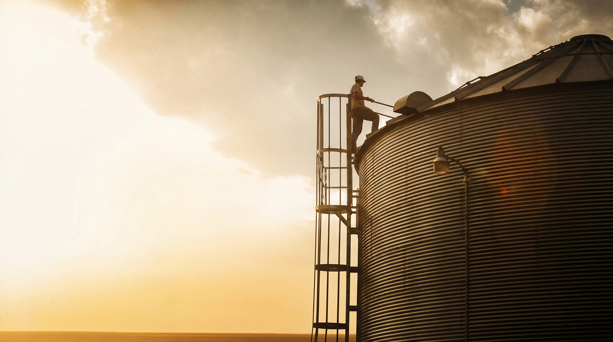 Gravista Grain Protection