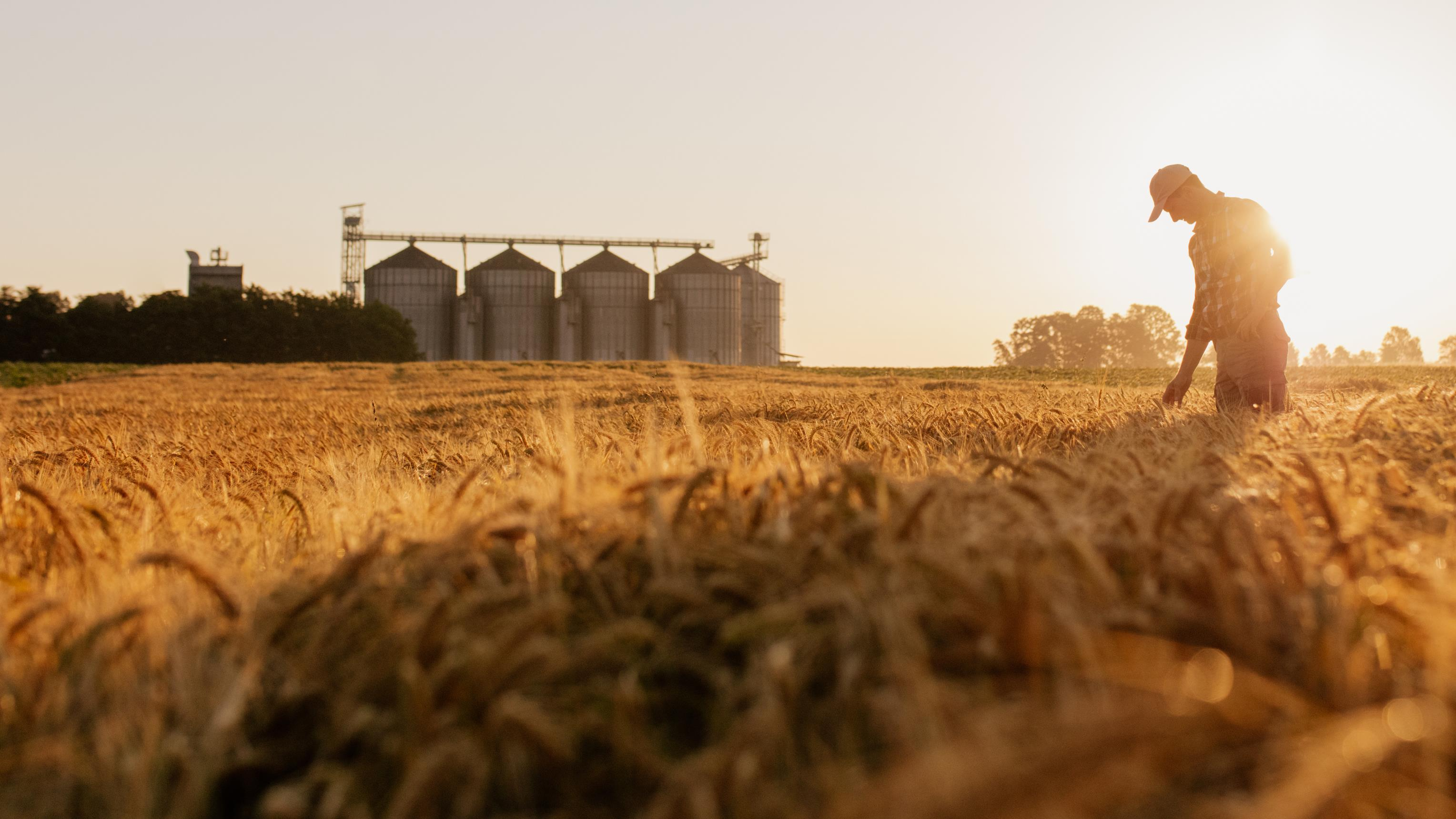 Protecting-the-Quality-Volume-and-Value-of-Stored-Grain