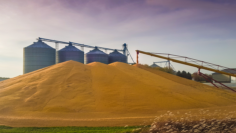 Silos_GrainPiles
