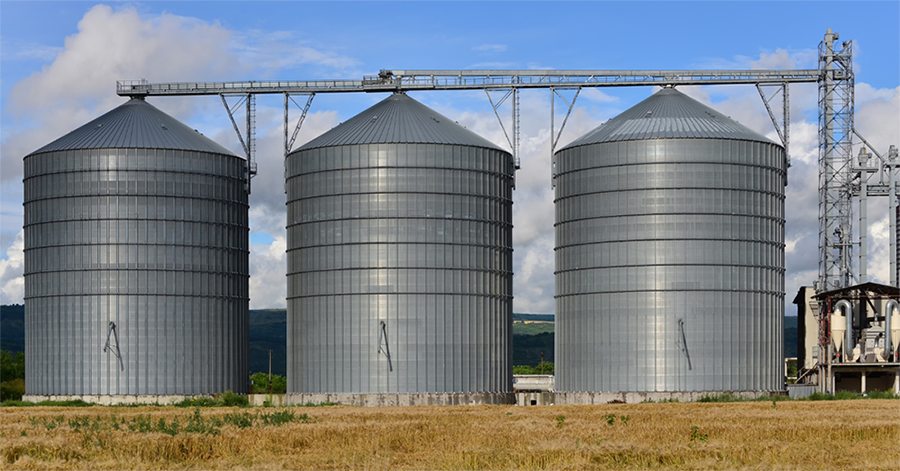 stored grain