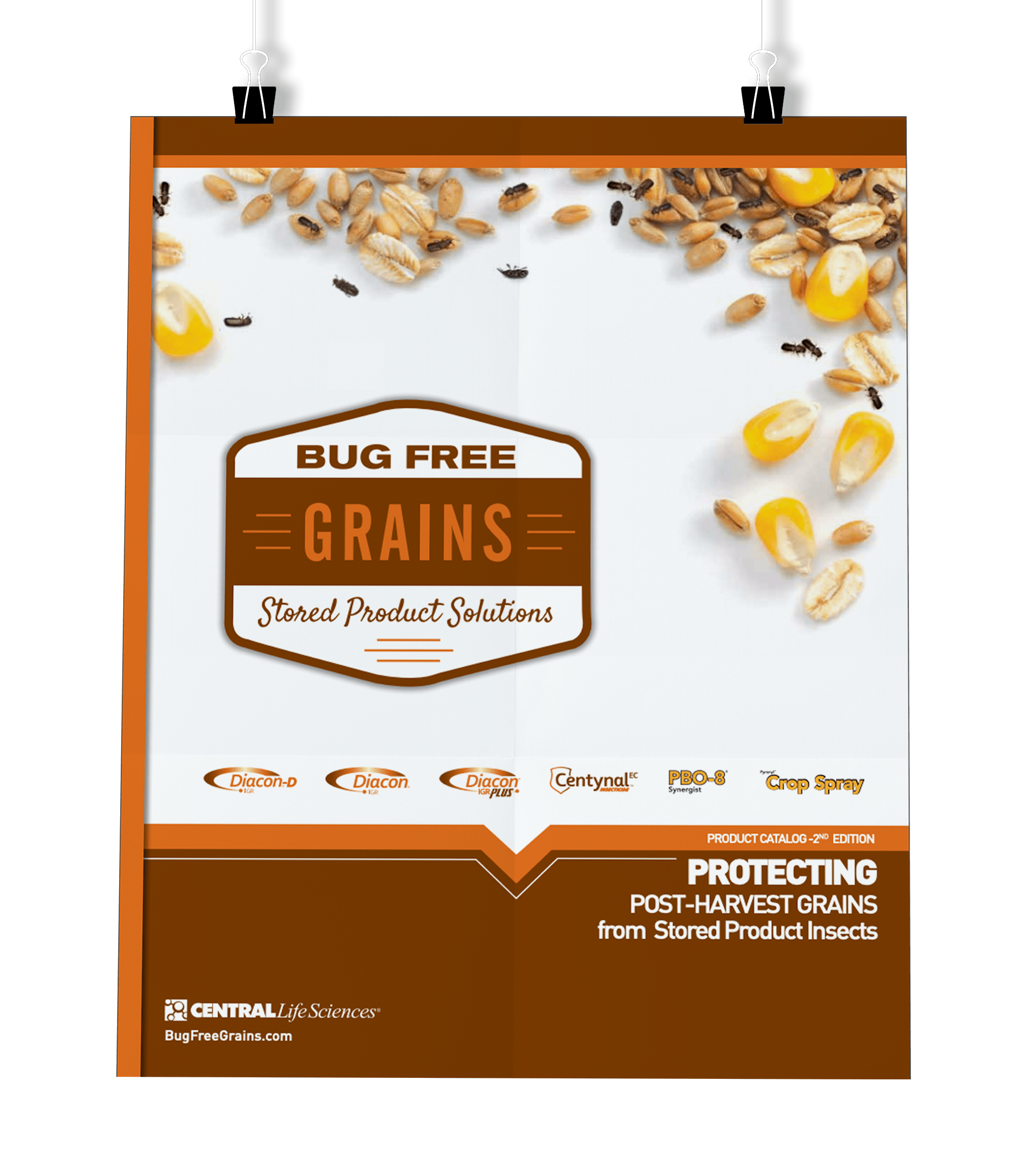 How to Protect Grains Bug Free Grains