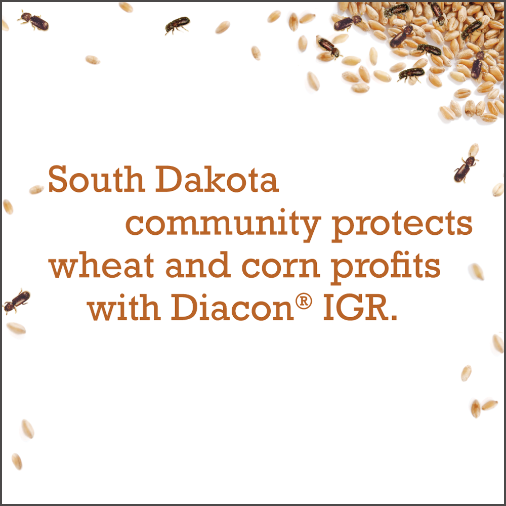South Dakota community protects wheat and corn profits with Diacon IGR.