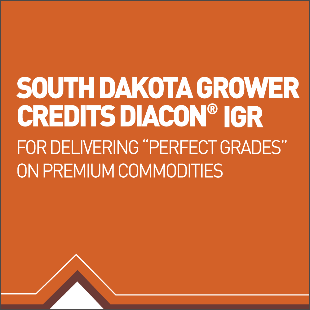 South Dakota grower credits Diacon IGR for delivering "perfect grades" on premium commodities.